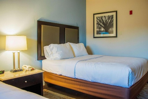 Comfort Inn & Suites Plainville-Foxboro image 9